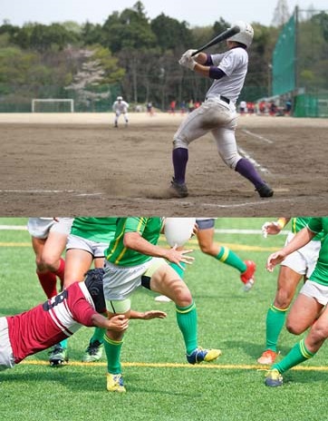 主なトレーナー実績
